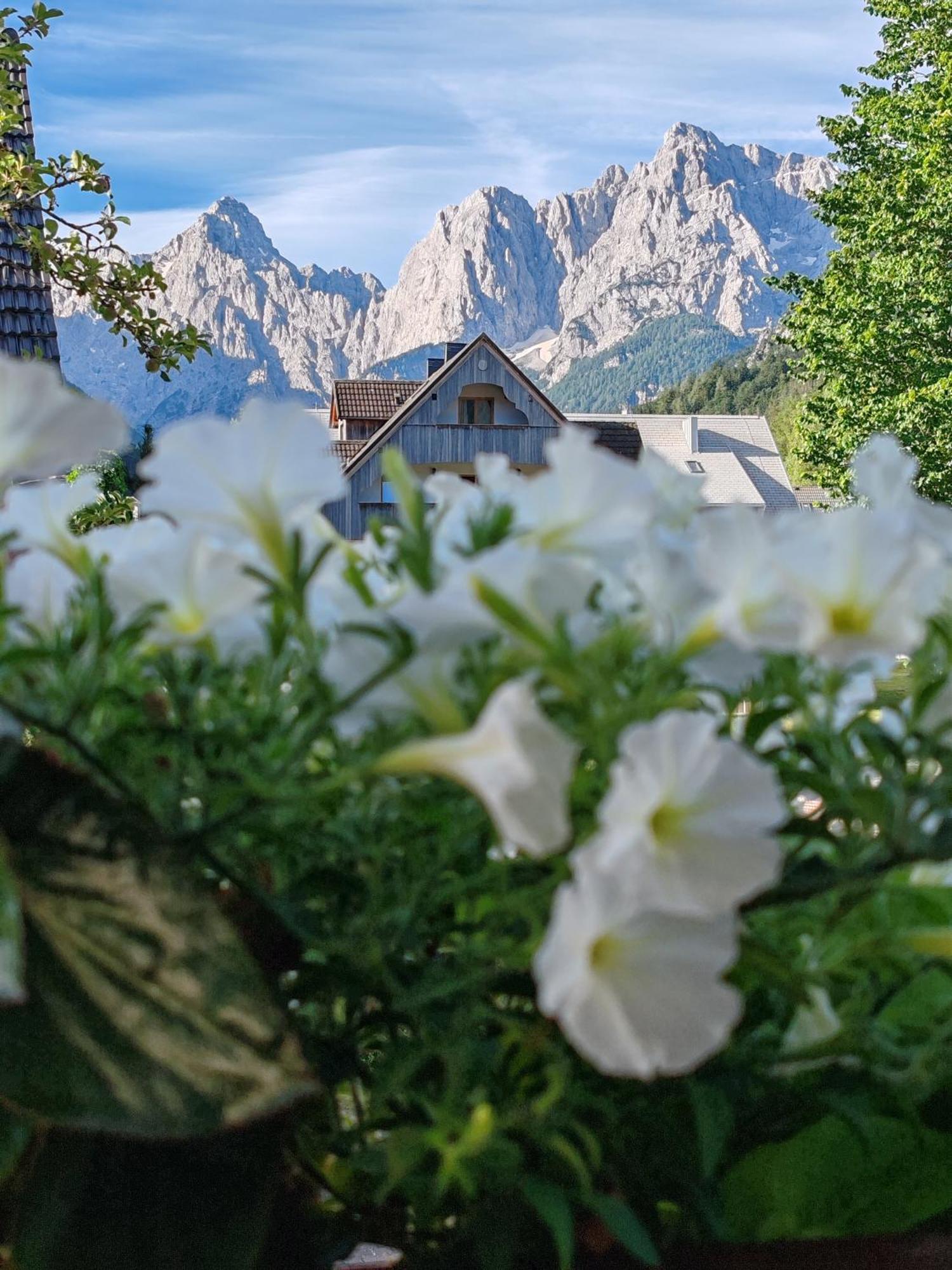 Apartments & Rooms Smucka Kranjska Gora Ngoại thất bức ảnh