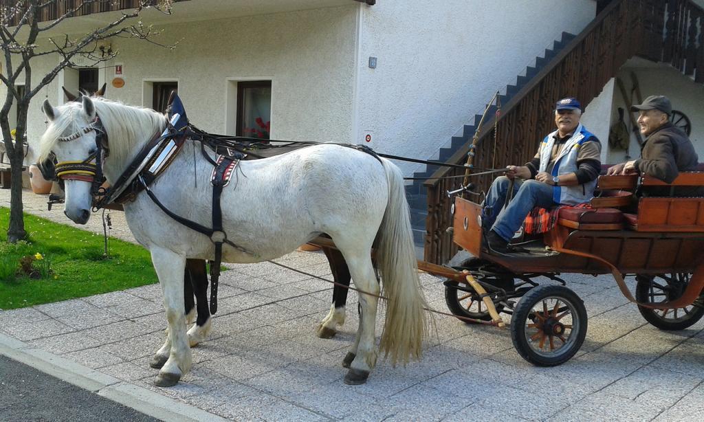 Apartments & Rooms Smucka Kranjska Gora Ngoại thất bức ảnh